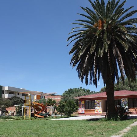 La Cupula Hostel & Camping Тариха Екстериор снимка
